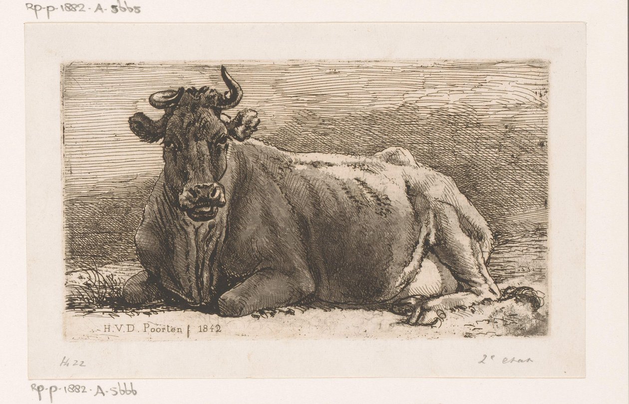 Vaca deitada de Hendrik Jozef Franciscus van der Poorten