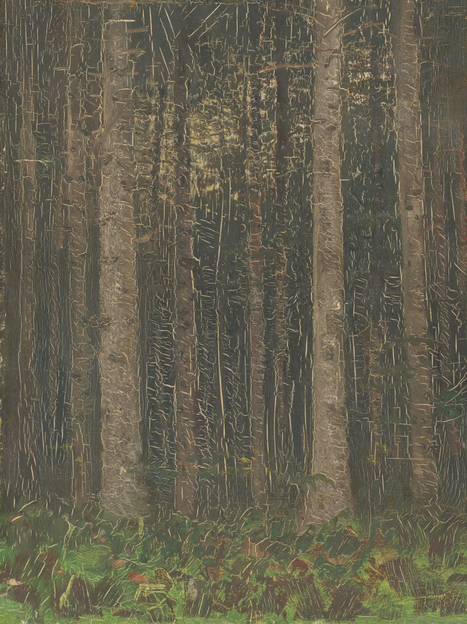 Interior da floresta de Laszlo Mednyanszky