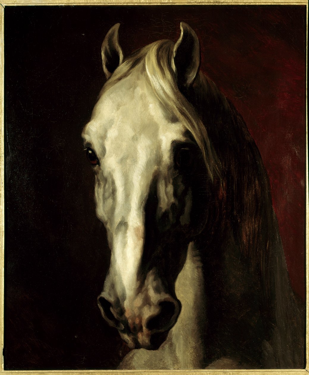 Cabeça de cavalo branco. Pintura por Theodore Gericault (1791-1824) de Theodore Gericault