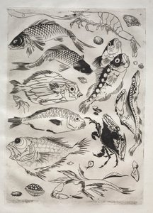 Serviço de Jantar (serviço Rousseau): Peixe (nº 24) de Felix Bracquemond