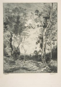 O cavalo branco, 1858. de Felix Bracquemond