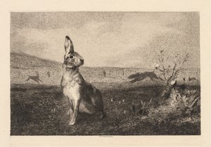 A lebre de Felix Bracquemond