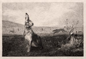 A lebre após A. de Balleroy, 1865. de Felix Bracquemond