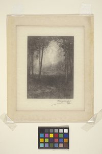 Em Os Adirondacks (tinta) de Henry Wolf