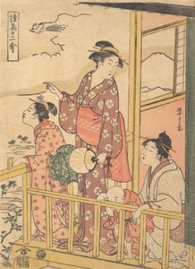 Uma Ave de Cauda Longa Onagadori, da série Doze Aves Sortidas Shocho junikin..., ca. 1791.