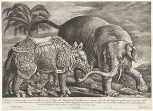 Olifant em Neushoorn Uma verdadeira representação das duas grandes Obras-Primas da Natureza, o Elefante e o Rinoceronte (título no objeto)