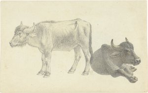 Carne de vaca em pé e de pé de Josephus Augustus Knip