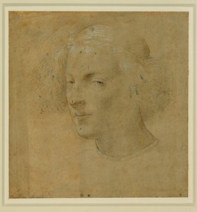 Retrato de um jovem com calota craniana ... de Lorenzo di Credi