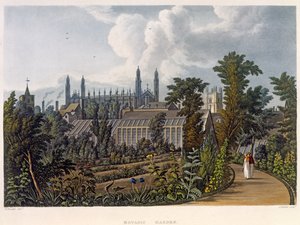 O jardim botânico, Cambridge, de "a história de Cambridge", gravado por Joseph Constantine Stadler (fl.1780-1812), bar. por R. Ackermann, 1815 (cor aquatint)