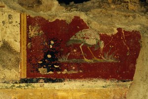 Ave, fragmento afresco, Salus Augusta Temple-Cryptoporticus, antiga cidade romana de Urbs Salvia, Urbisaglia, Marche, Itália (foto)