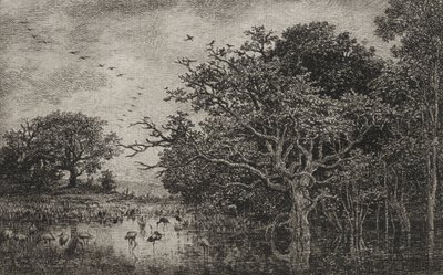 O pântano com cegonhas de Charles Francois Daubigny