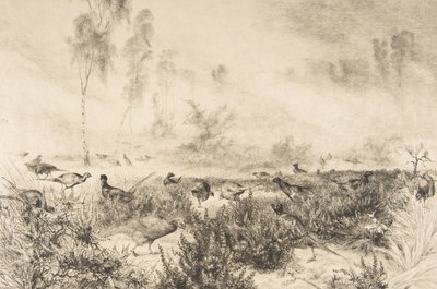 Névoas da manhã, 1882. de Felix Bracquemond