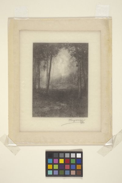 Em Os Adirondacks (tinta) de Henry Wolf