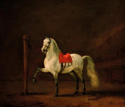 Um cavalo branco no estábulo de Philips Wouwerman
