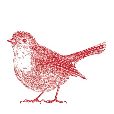 Robin, 2017 de Sarah Hough