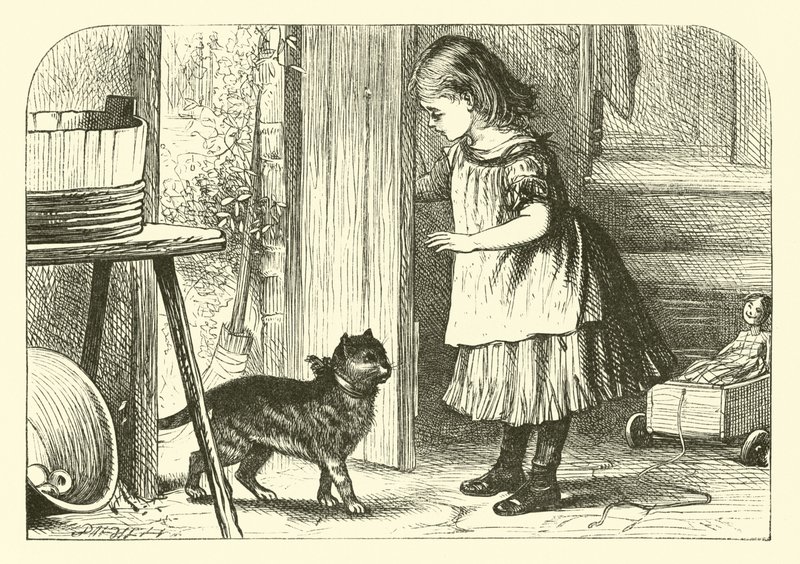 Gato De Buceta, Gato De Buceta de English School